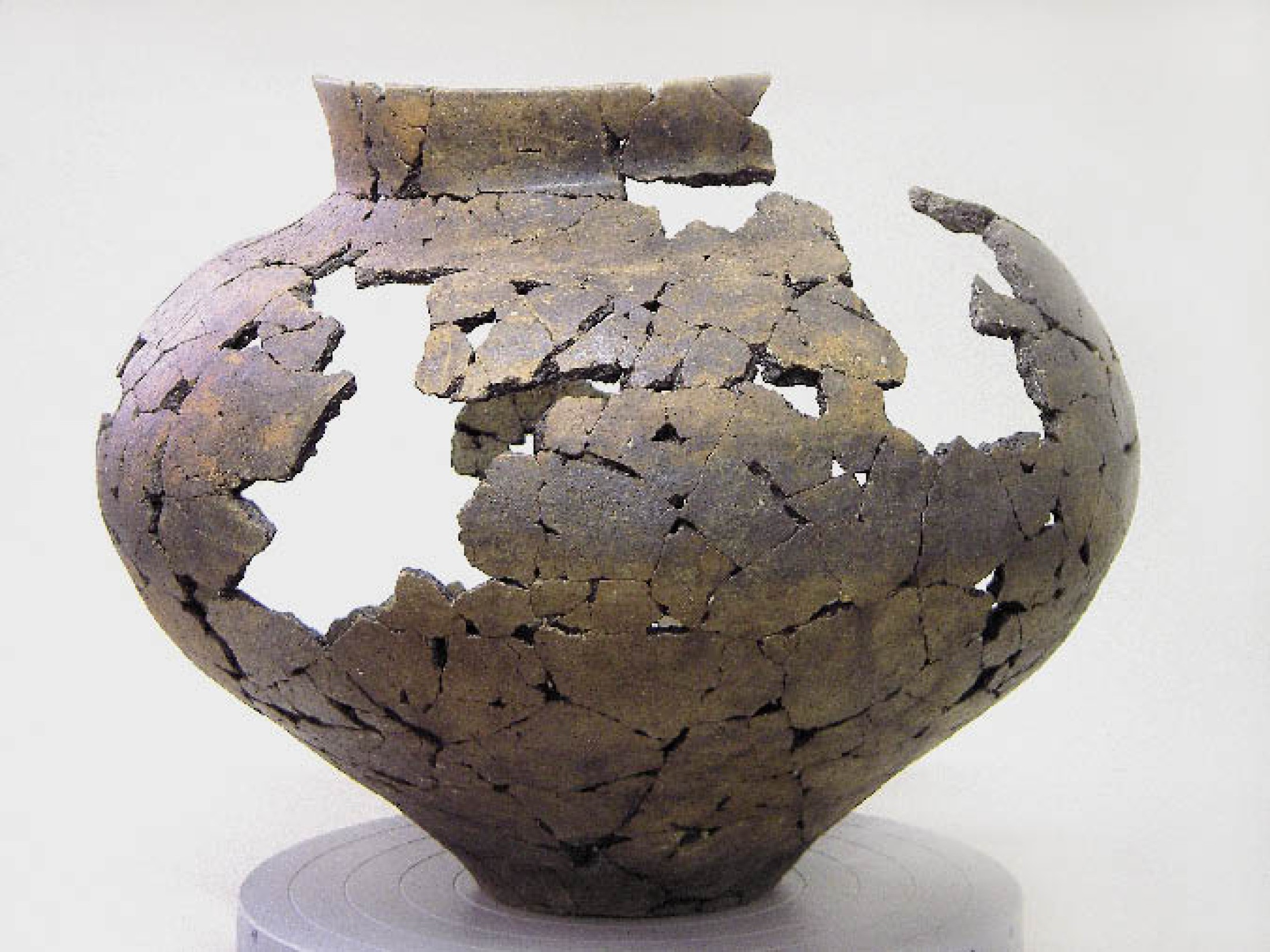 : Keramikgefäß aus Grab N32, Fundnummer 1516, aus dem Gräberfeld von Hallstatt. (Bild: M. Hantschl - NHM Wien)