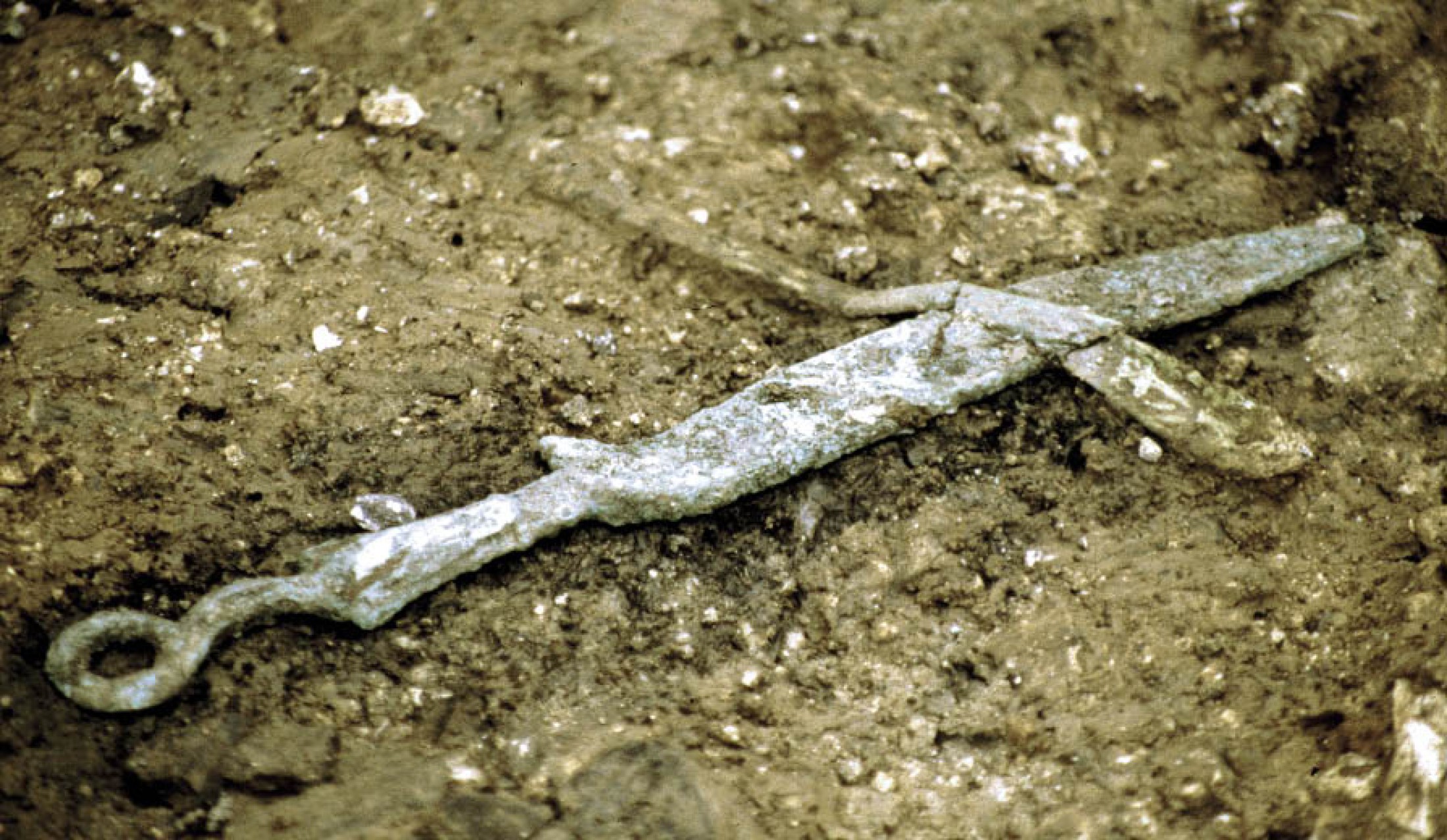 : Detail mit Ringgriffmesser aus Bronze, das möglicherweise unterhalb einer Fleischbeigabe lag, von der nur mehr ein Knochen erhalten blieb.(Foto: PA NHM Wien)