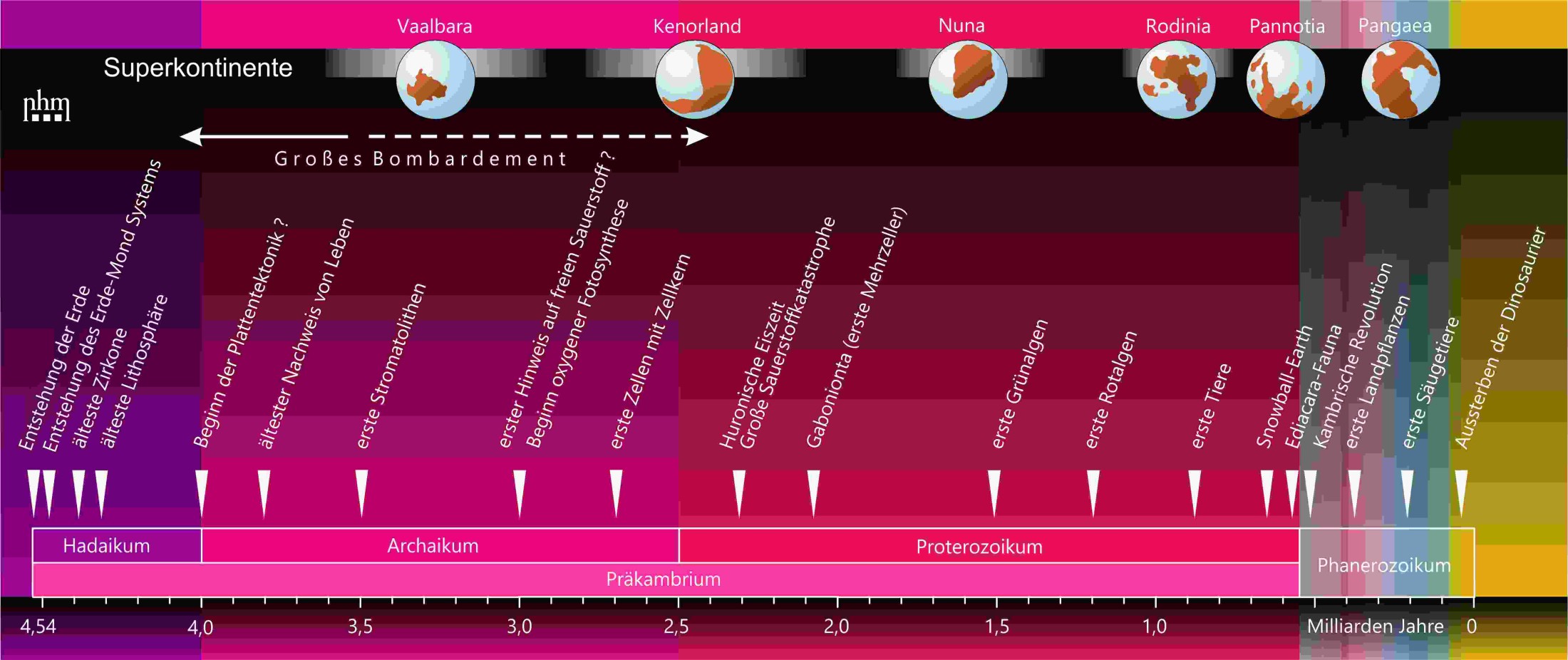 : Die Entwicklung des Lebens und die Bildung von Superkontinenten; © NHM Wien, Mathias Harzhauser