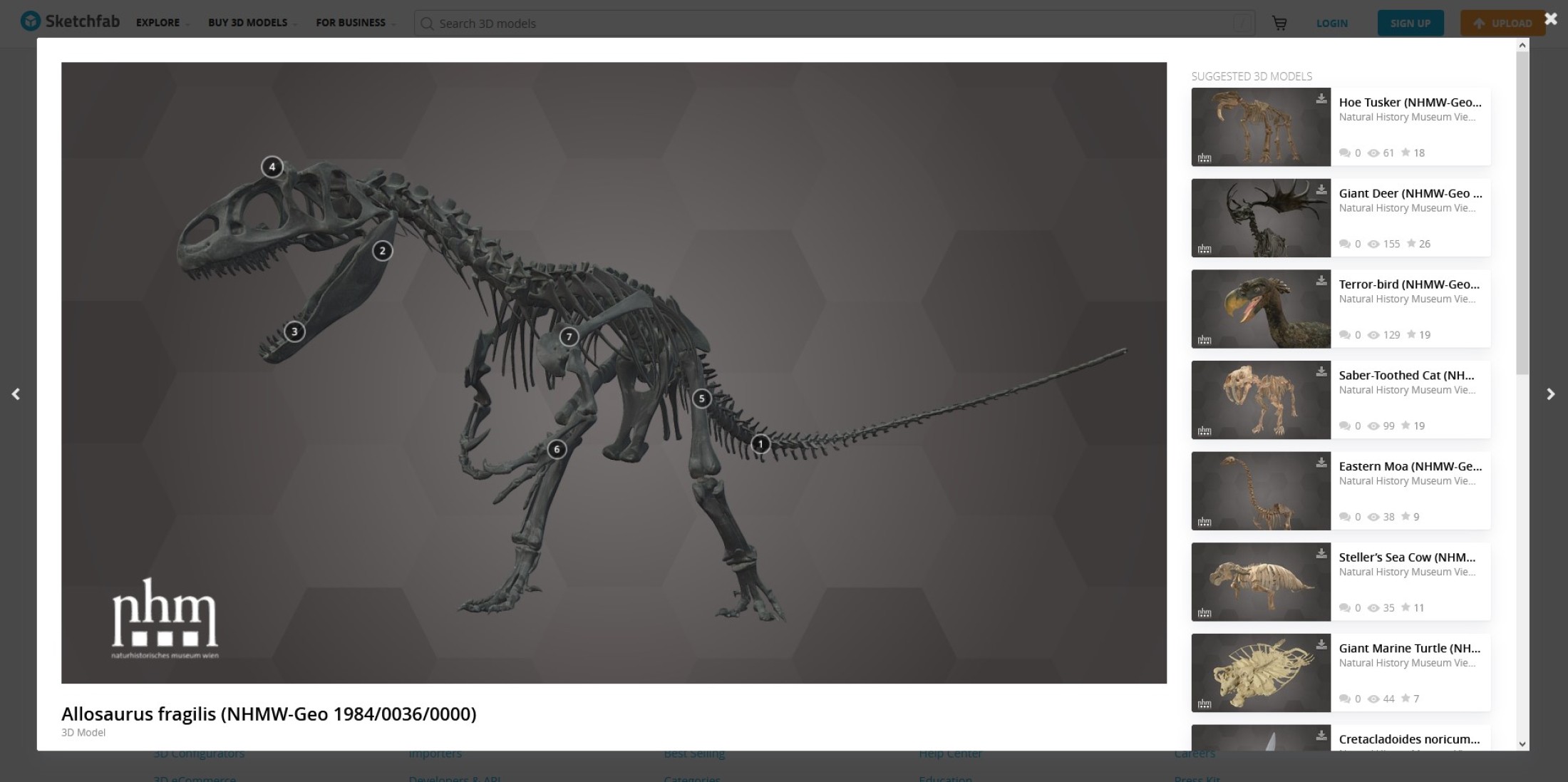 Digital model of Allosaurus fragilis skeletal mount from the Natural History  Museum Vienna, shown in a screenshot with other 3D models of displays. 