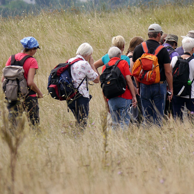 : Gemeinsam wandern © NHM Wien