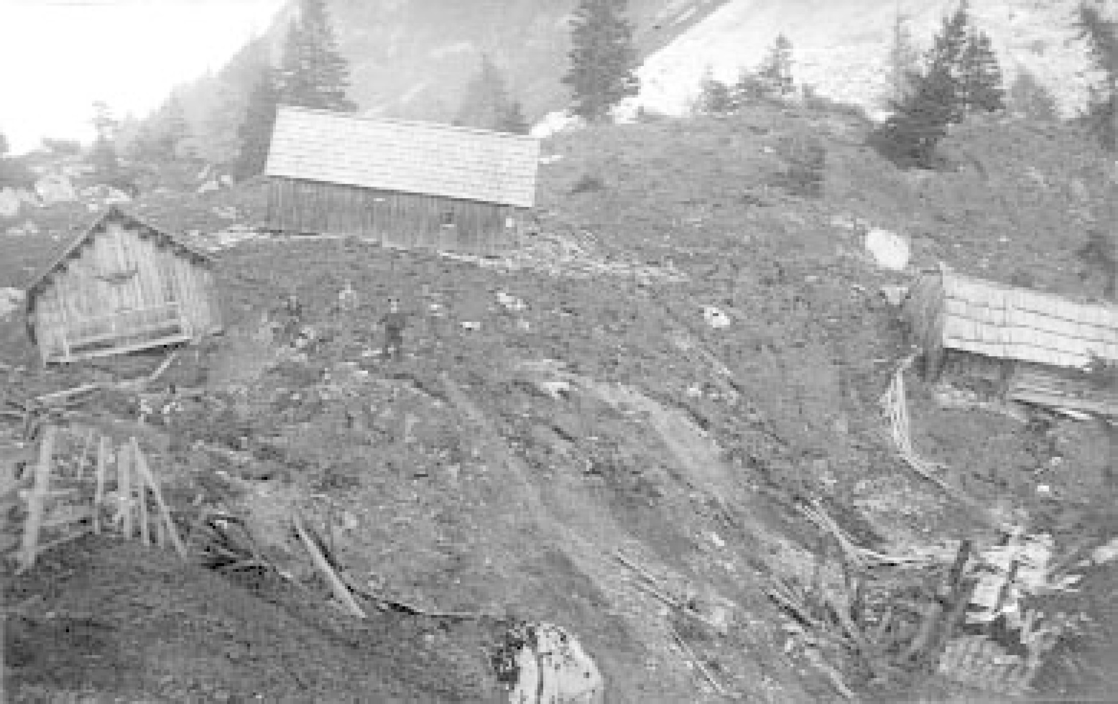 : Historische Aufnahmen des Schuttstroms am Sandling bei Altaussee aus dem Jahr 1920: Ein etwa 200.000 m³ mächtiger Felsturm auf der Westseite des stark zerlegten Sandlings – das sogenannte „Pulverhörndl“ – stürzte in sich zusammen. Durch die starke Auflast der neu gebildeten Blockschutthalde wurde im angrenzenden Bereich ein Schuttstrom ausgelöst. Dieser war etwa einen Monat lang aktiv und bewegte sich langsam talwärts, bevor er schließlich zum Stillstand kam. Im oberen Bereich wurden vom Schuttstrom, der eine Mächtigkeit von über 10 m erreichte, auch einige Almhütten berührt. Im weiteren Verlauf zerstörte der Schuttstrom große bewaldete Gebiete. Insgesamt erfasste er ein Gesamtvolumen von 20 Millionen m3 und erstreckte sich 3,7 km weit talwärts. (Bild: Forsttechnischer Dienst für Wildbach- und Lawinenverbauung, Gebietsleitung Salzkammergut)