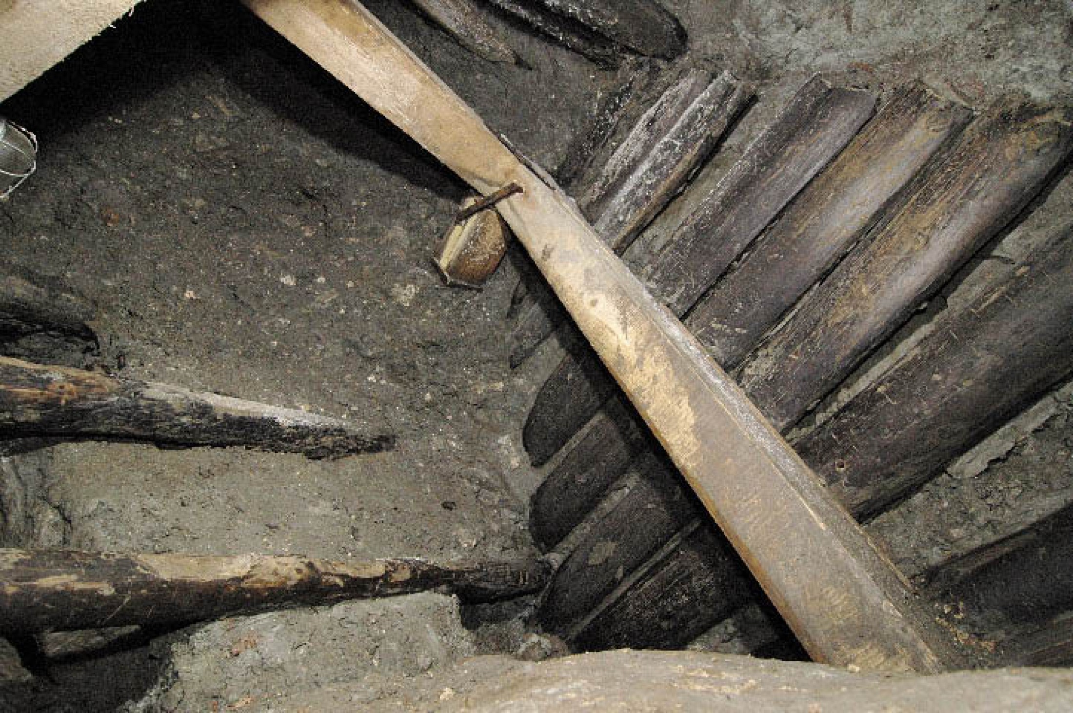 : Der bislang einzige erhaltene Zugang zum eisenzeitlichen Bergwerk. Die Rundhölzer dienten als Auftritte bzw. Stufen (Foto: A. W. Rausch - NHM Wien)