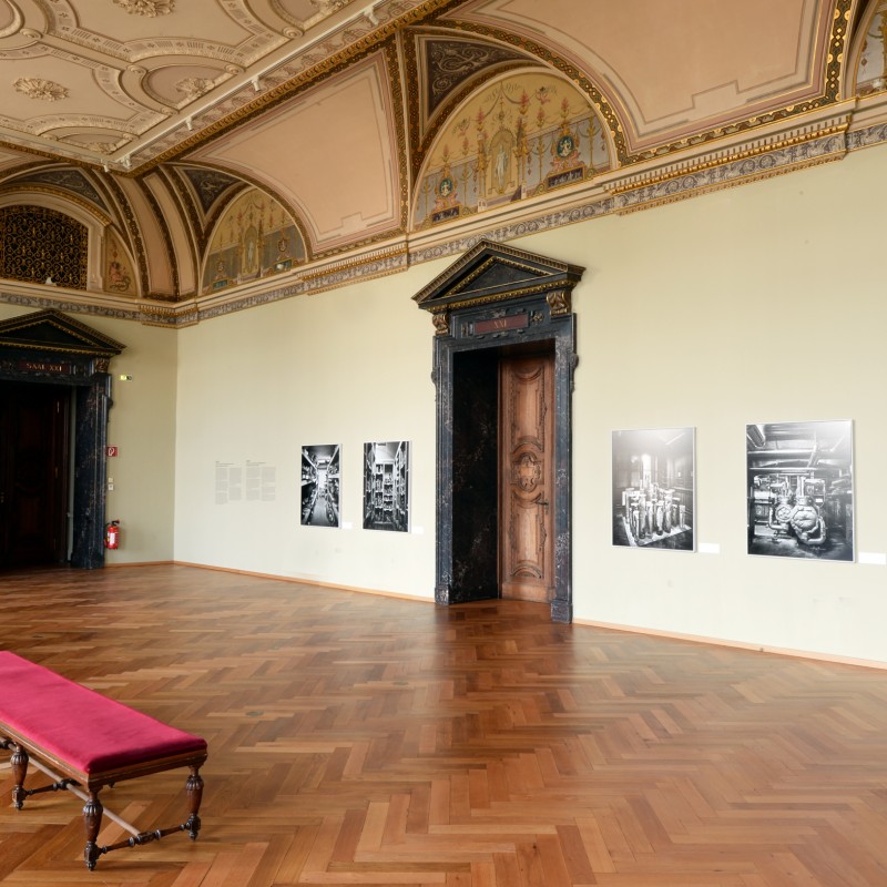 Ausstellung Insides im Saal 21; © NHM Wien,
                                 Alice Schumacher