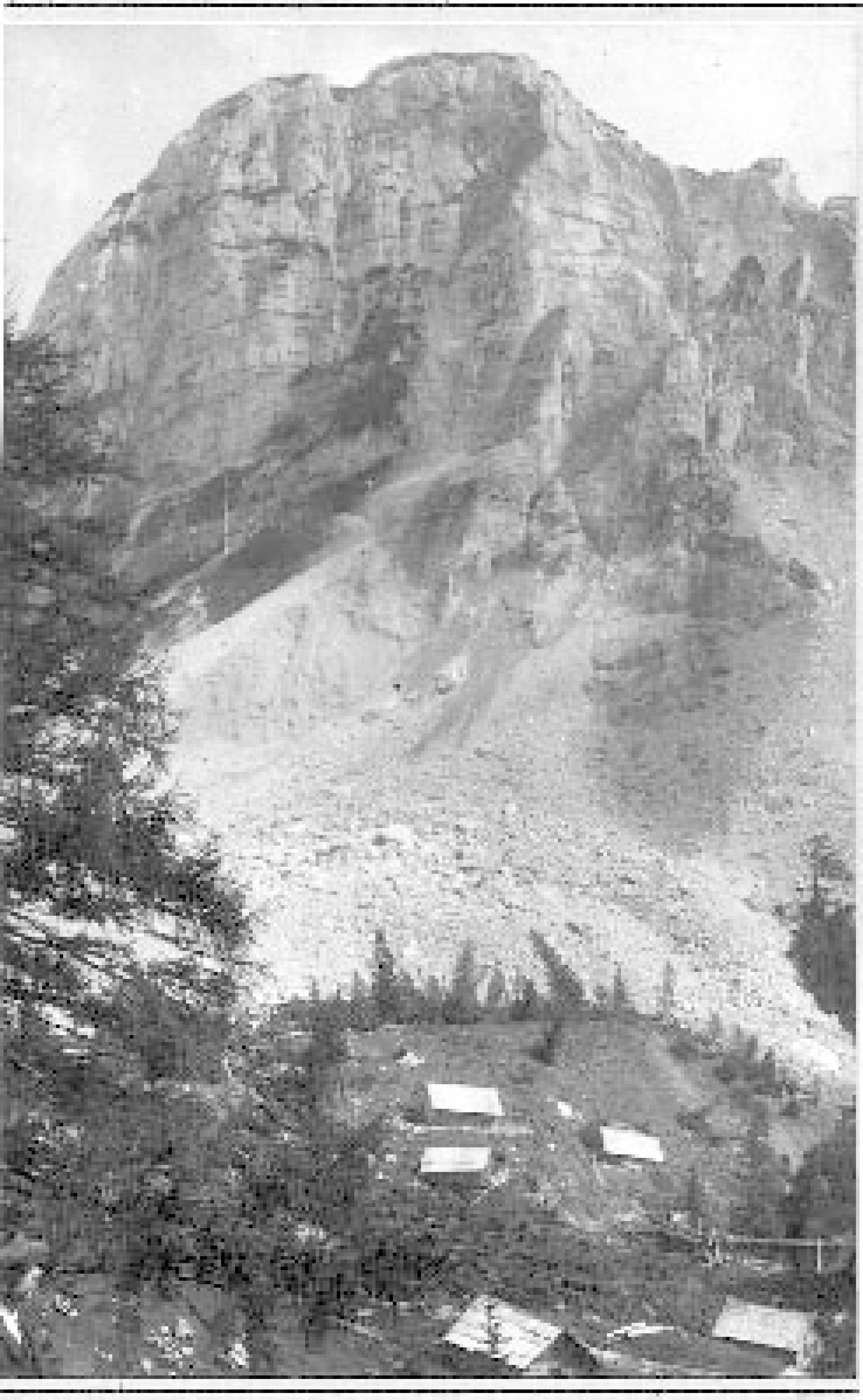 : Historische Aufnahmen des Schuttstroms am Sandling bei Altaussee aus dem Jahr 1920: Ein etwa 200.000 m³ mächtiger Felsturm auf der Westseite des stark zerlegten Sandlings – das sogenannte „Pulverhörndl“ – stürzte in sich zusammen. Durch die starke Auflast der neu gebildeten Blockschutthalde wurde im angrenzenden Bereich ein Schuttstrom ausgelöst. Dieser war etwa einen Monat lang aktiv und bewegte sich langsam talwärts, bevor er schließlich zum Stillstand kam. Im oberen Bereich wurden vom Schuttstrom, der eine Mächtigkeit von über 10 m erreichte, auch einige Almhütten berührt. Im weiteren Verlauf zerstörte der Schuttstrom große bewaldete Gebiete. Insgesamt erfasste er ein Gesamtvolumen von 20 Millionen m3 und erstreckte sich 3,7 km weit talwärts. (Bild: Forsttechnischer Dienst für Wildbach- und Lawinenverbauung, Gebietsleitung Salzkammergut)