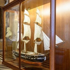 : (C) NHM-Wien/Rittmannsperger