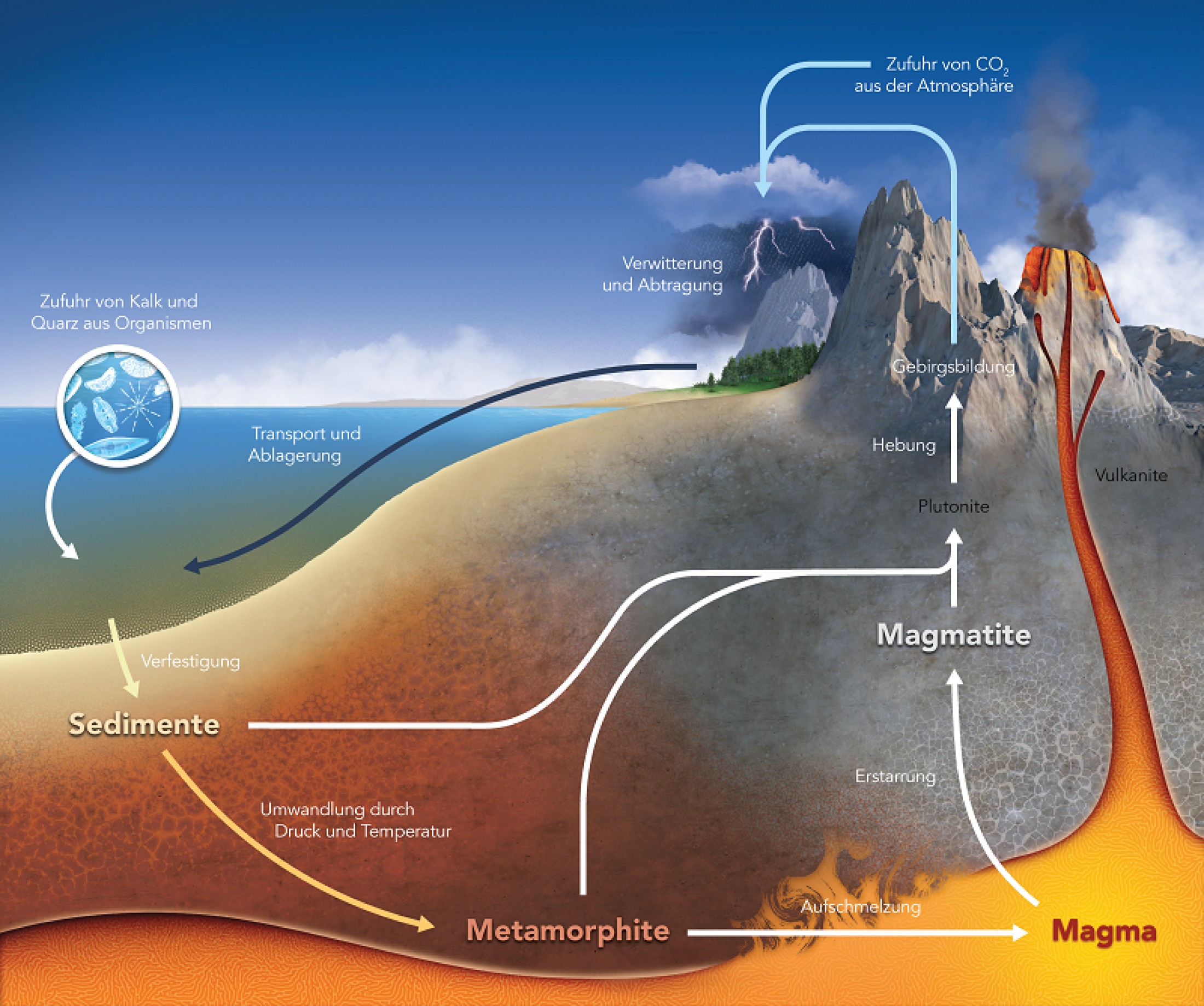 : Rock cycle. © Mark Belan / artscistudios.com