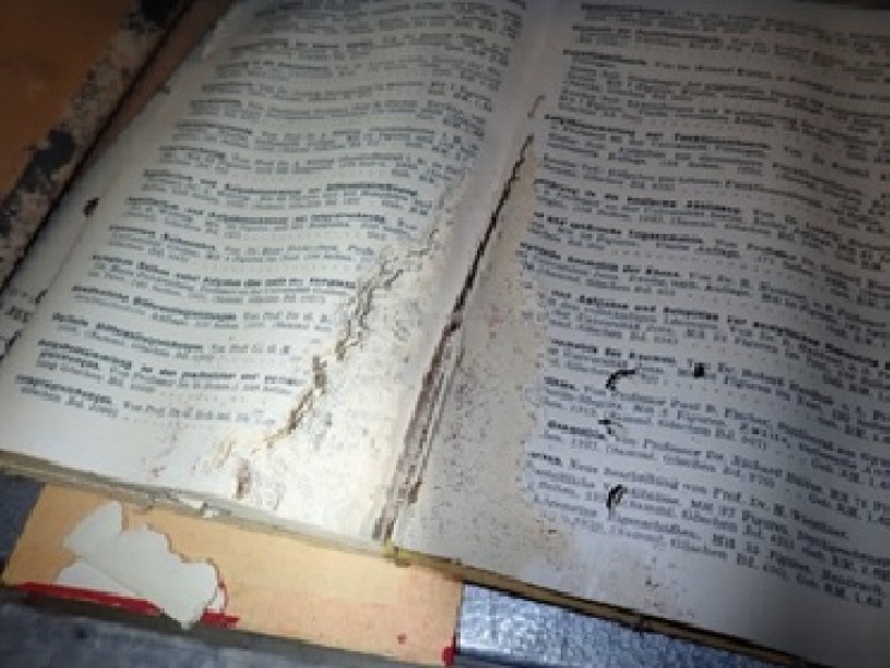 : Damage from grey silverfish
