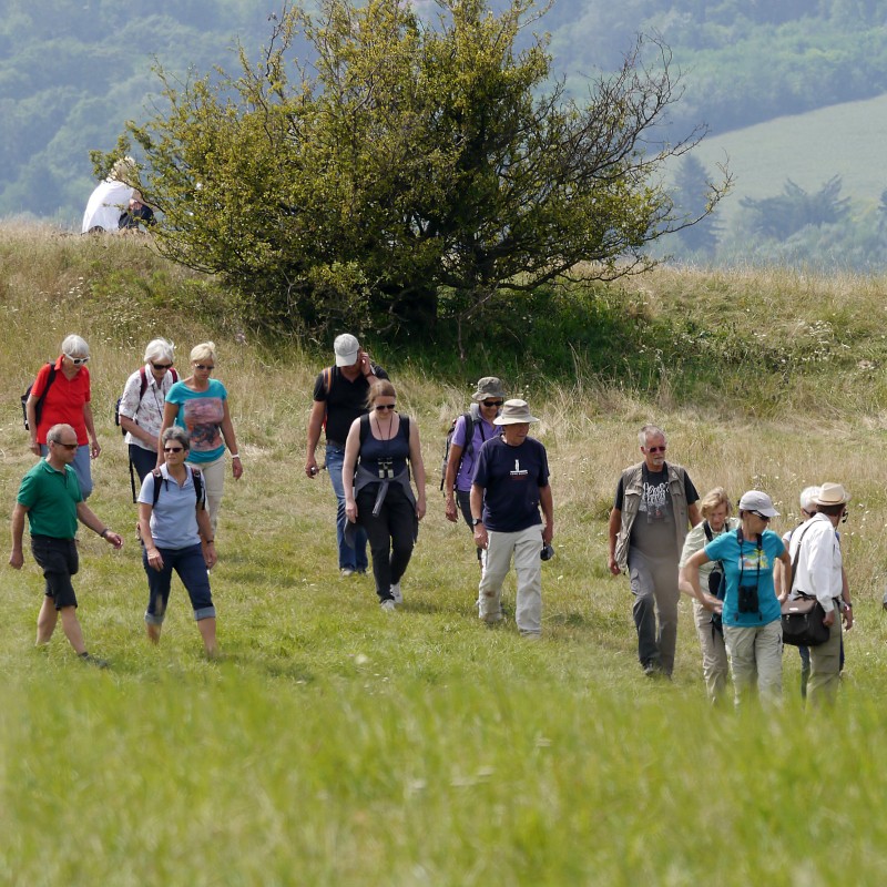 : Wanderung durch schöne Landschaften © NHM Wien