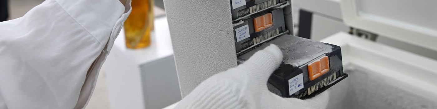 DNA and tissue Collection  © NHM Wien, Chloe Potter: DNA and tissue Collection  © NHM Wien, Chloe Potter