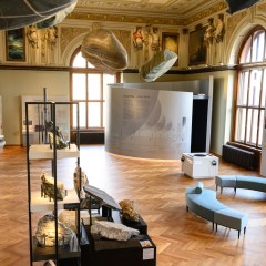 : (C) NHM-Wien/Rittmannsperger