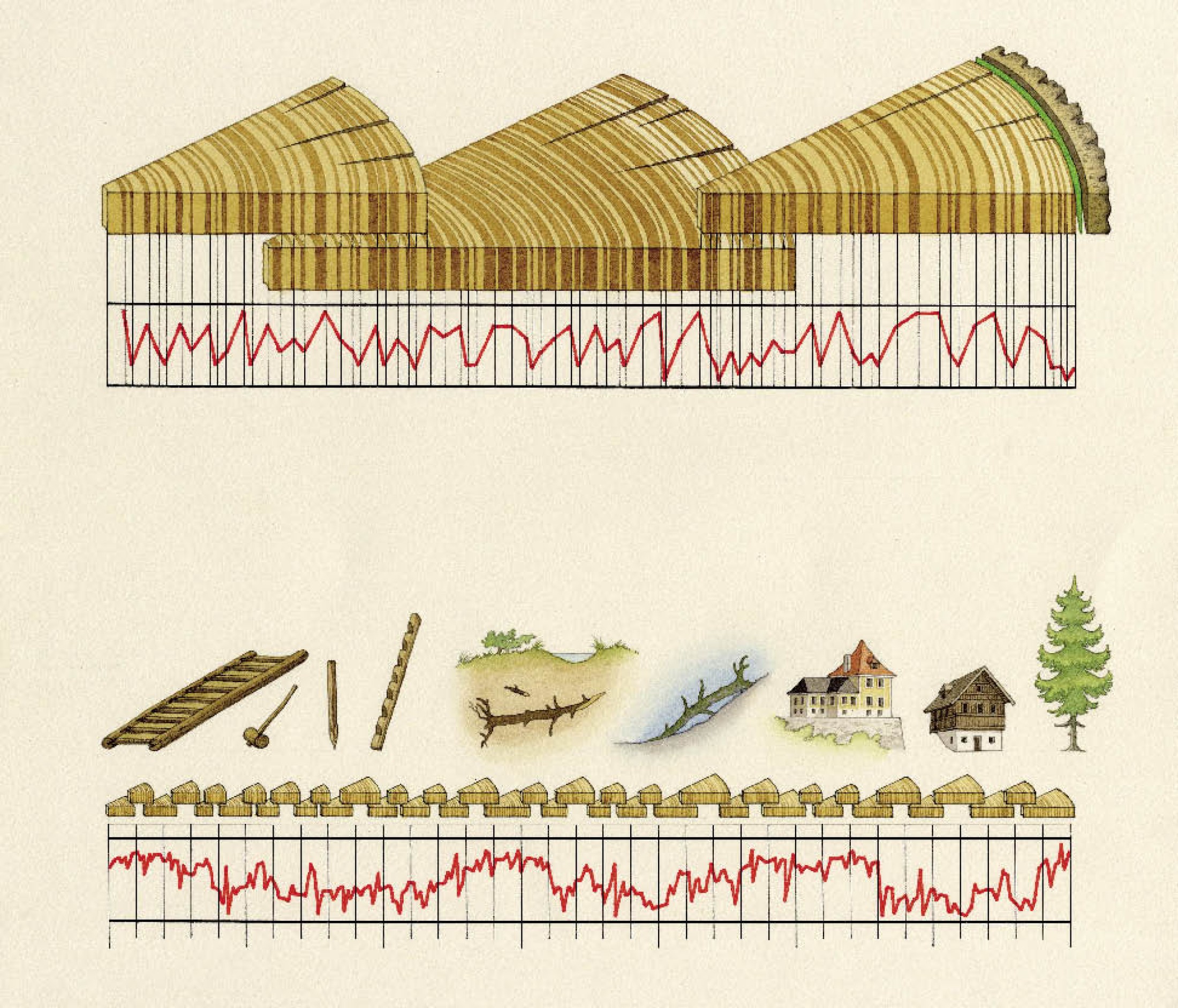 : Schema des Aufbaus einer dendrochronologischen Referenzkurve: Die Kurve beginnt mit der Jahrringsequenz in der Gegenwart noch lebender Bäume. In die Vergangenheit verlängert wird diese Kurve durch das Anhängen von Jahrringsequenzen, die aus dem Holz historischer Gebäude, z.B. des Rudolfsturms, entnommen werden. Weiter in die Vergangenheit gelangt man über die Sequenzen von Hölzern, die in Mooren oder Gebirgsseen konserviert wurden. (Bild: D. Groebner, H. Reschreiter - NHM Wien)