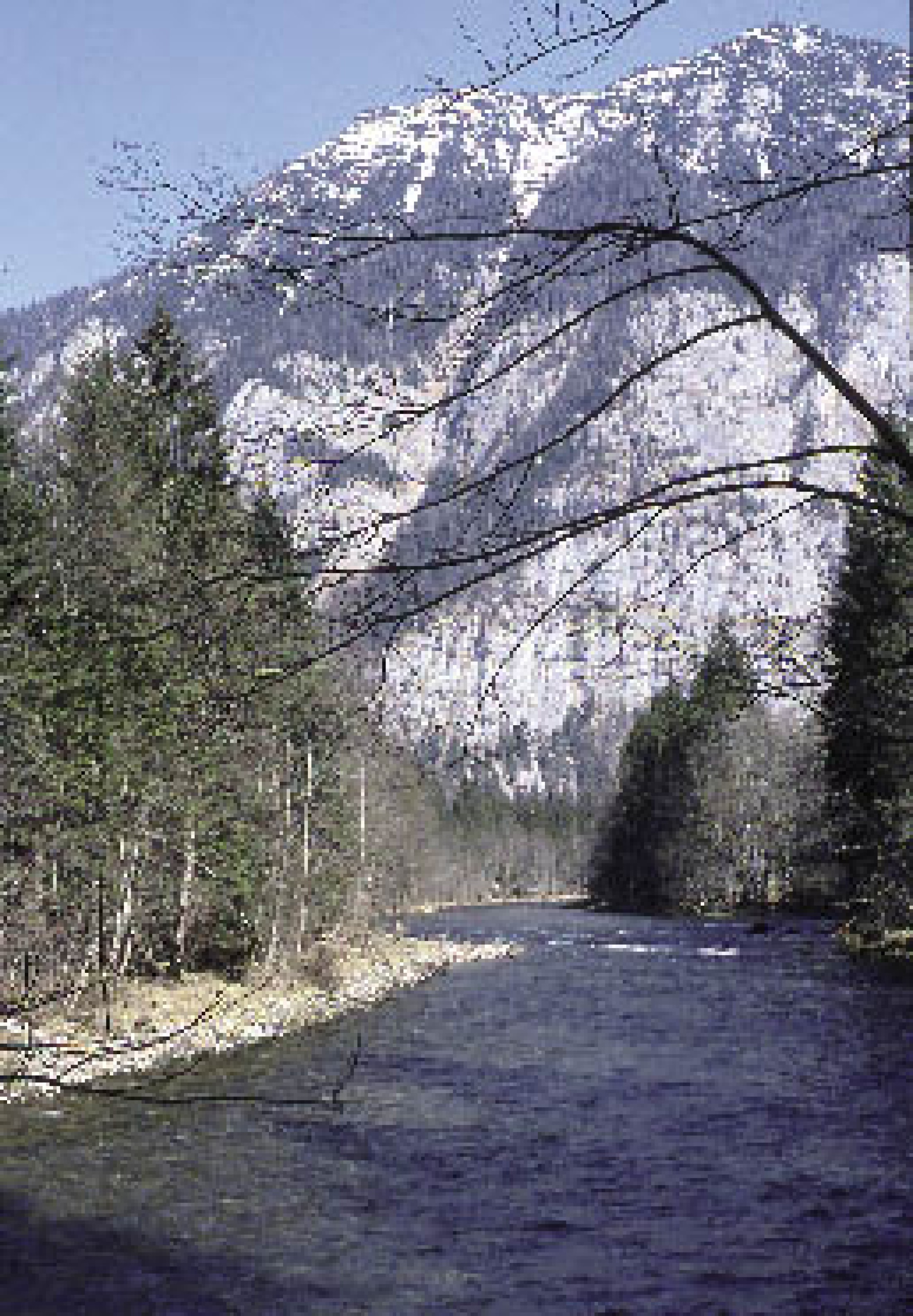 : Oberlauf der Traun kurz vor der Einmündung in den Hallstätter See (Bild: M. Pollak)