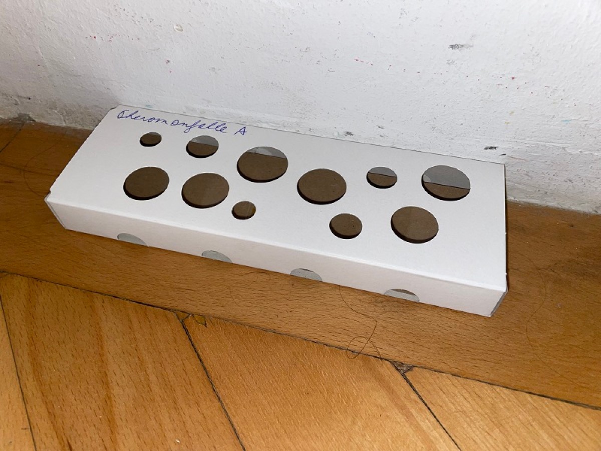 : Traps used for webbing clothes moths