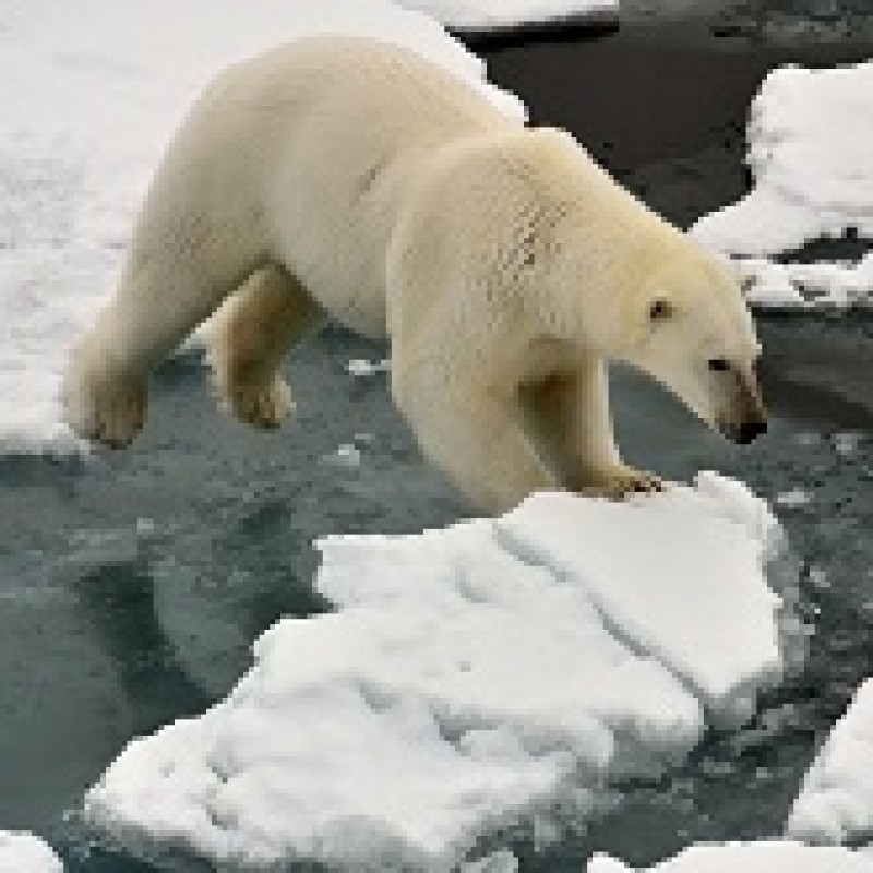 © Christoph Ruhsam, www.purelandscapes.net