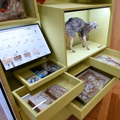 : Damaged objects are displayed in the exhibition © NHM Vienna, Chloe Potter