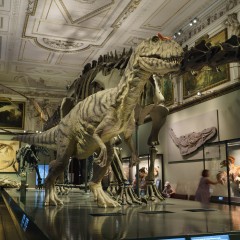 : (C) NHM-Wien/Rittmannsperger