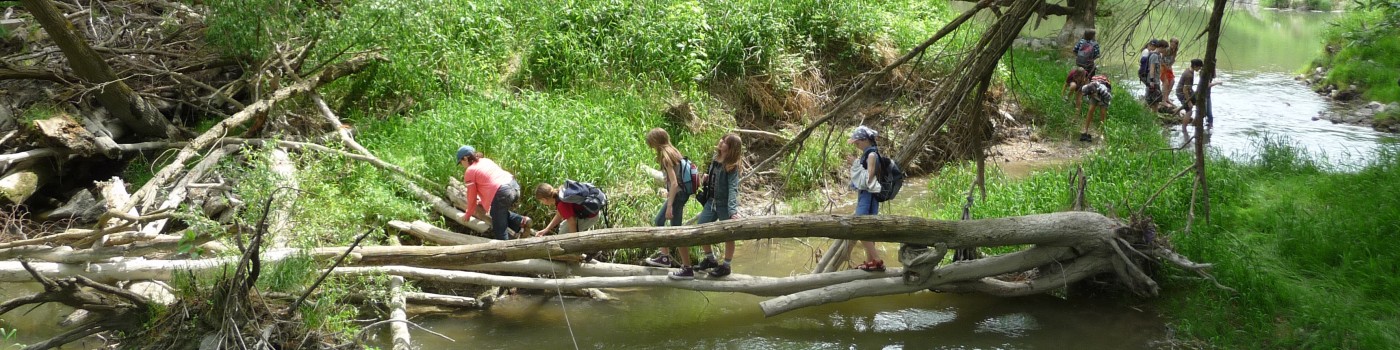: Idyllische Auenwanderung © NHM Wien