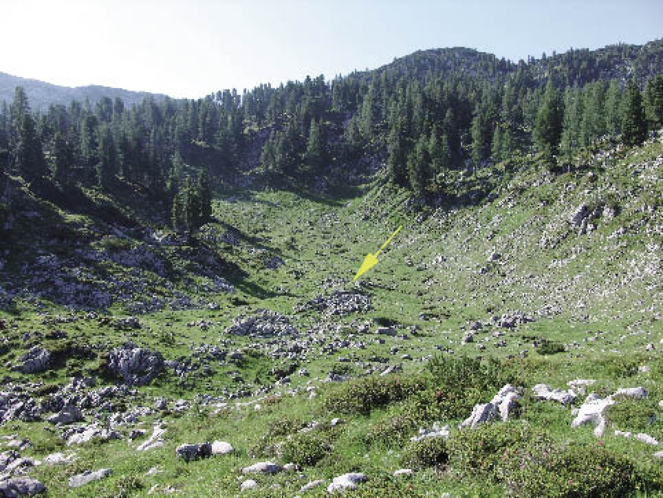 : Karstgrube in der Königreichalm, 1694 m Höhe: Der gelbe Pfeil zeigt auf den bronzezeitlichen Hüttenplatz. (Bild: F. Mandl)