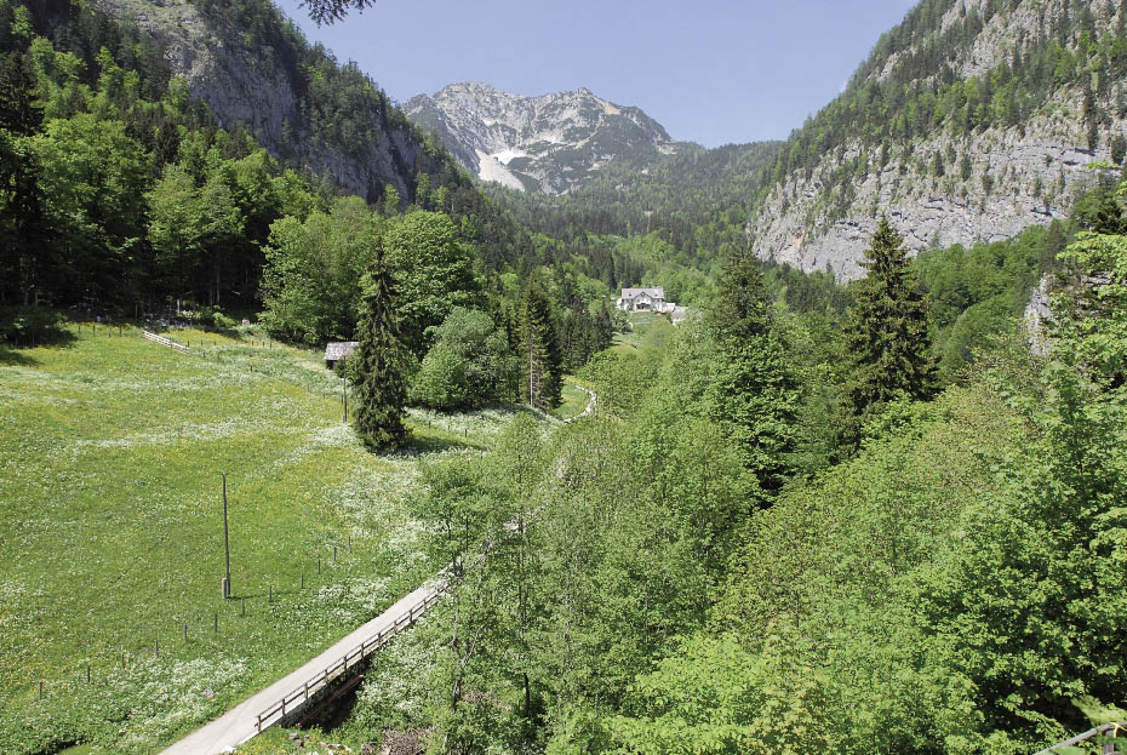 : Das Einzugsgebiet für Nutzholz ist im Salzbergtal beschränkt. (Bild: A. W. Rausch - NHM Wien)