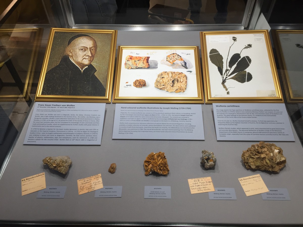 Showcase at Tucson Gem & Mineral Show, 2019: Showcase at Tucson Gem & Mineral Show, 2019