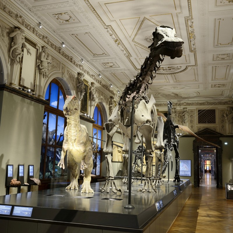 : (C) NHM-Wien/Kracher