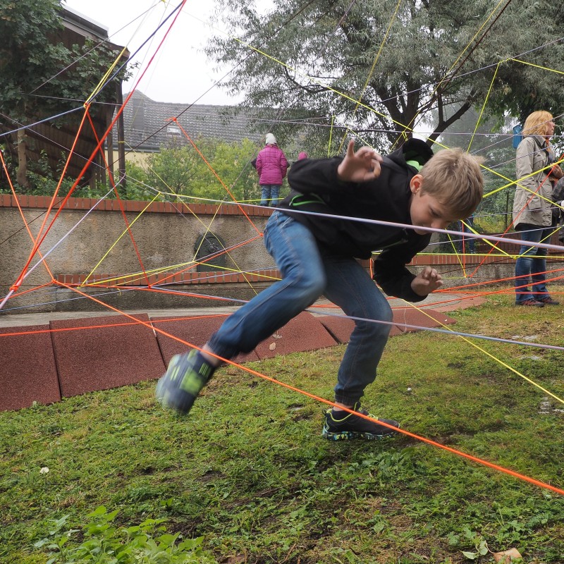 : Krabbeln durch das Spinnennetz © NHM Wien