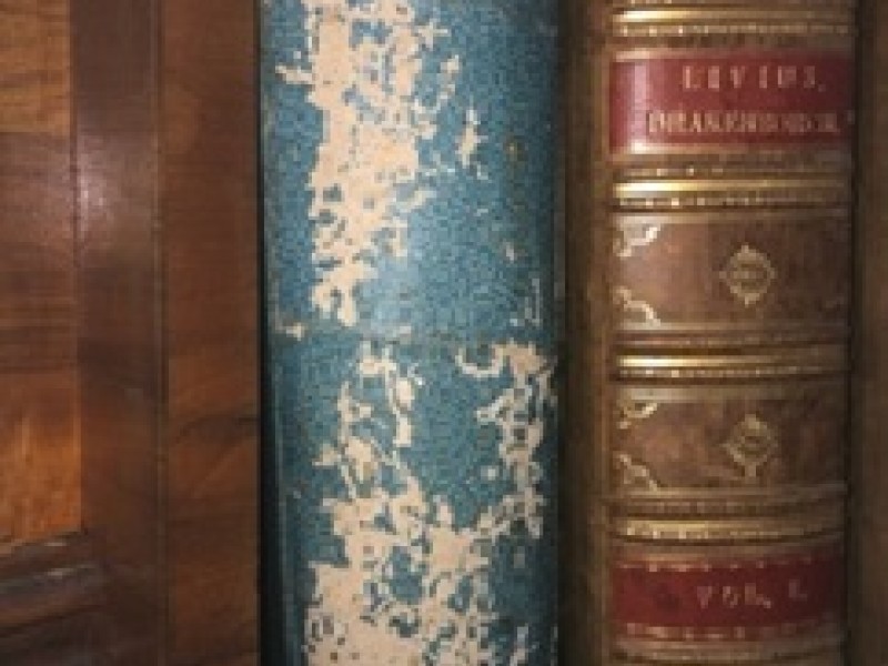 : Damage from silverfish
