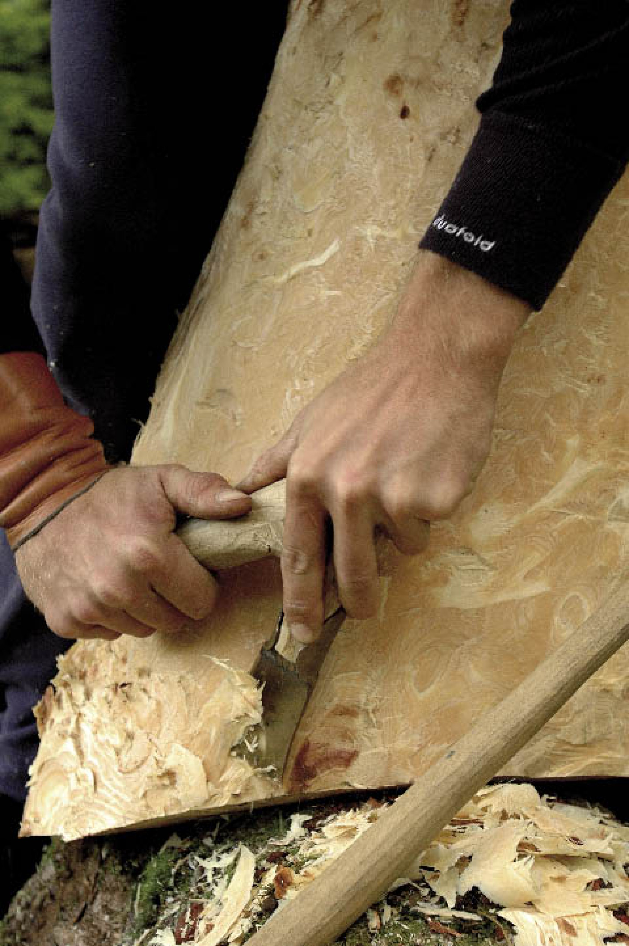 : Das Holz der Stocküberwallungen ist sehr unregelmäßig strukturiert und daher schwer spaltbar. (Bild: A. W. Rausch - NHM Wien)