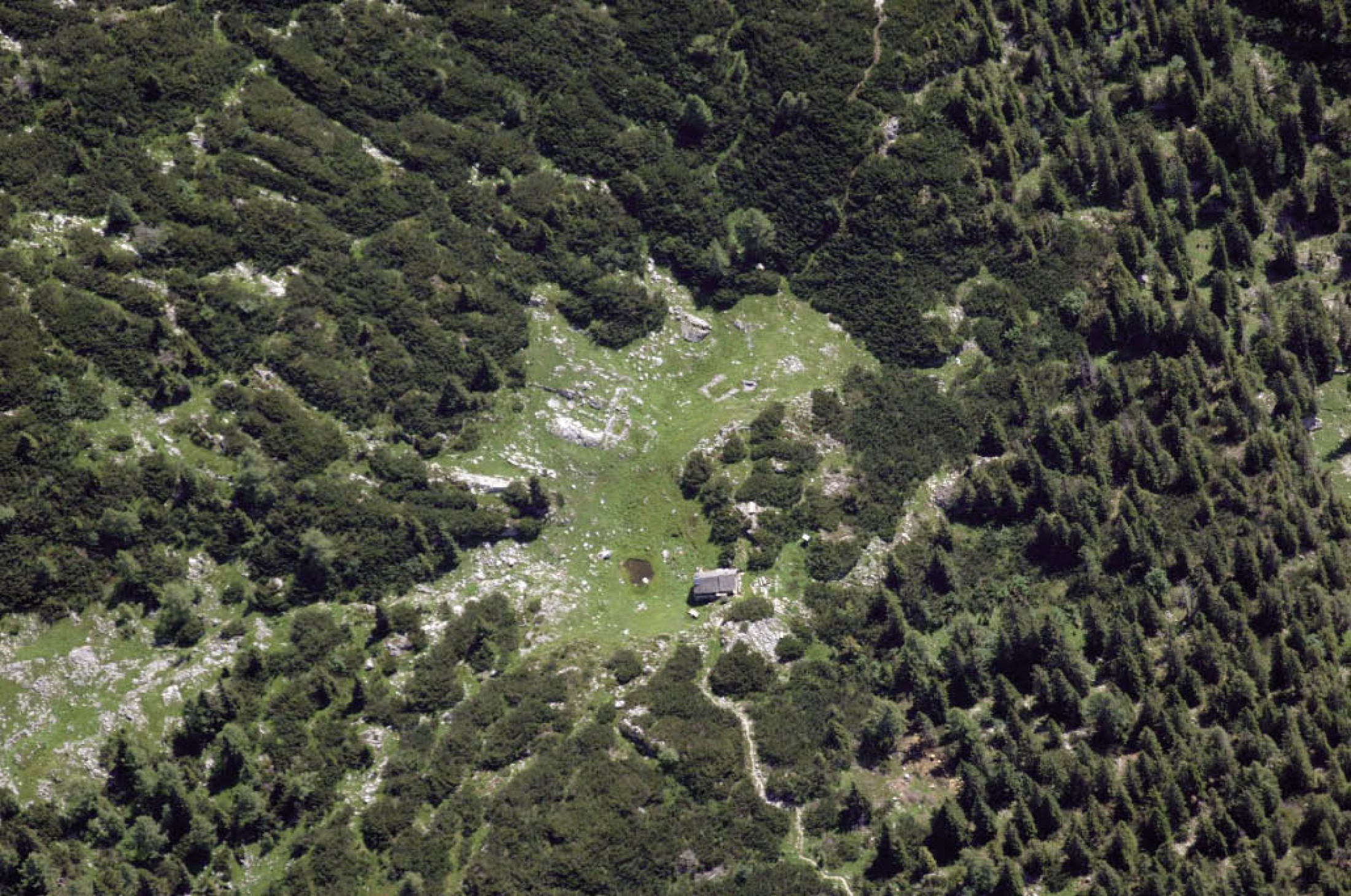 : Grundrisse ehemaliger Gebäude im Bereich der Sarsteinhütte. (Bild: Luftbildarchiv, Institut für Urgeschichte und Historische Archäologie, Universität Wien)