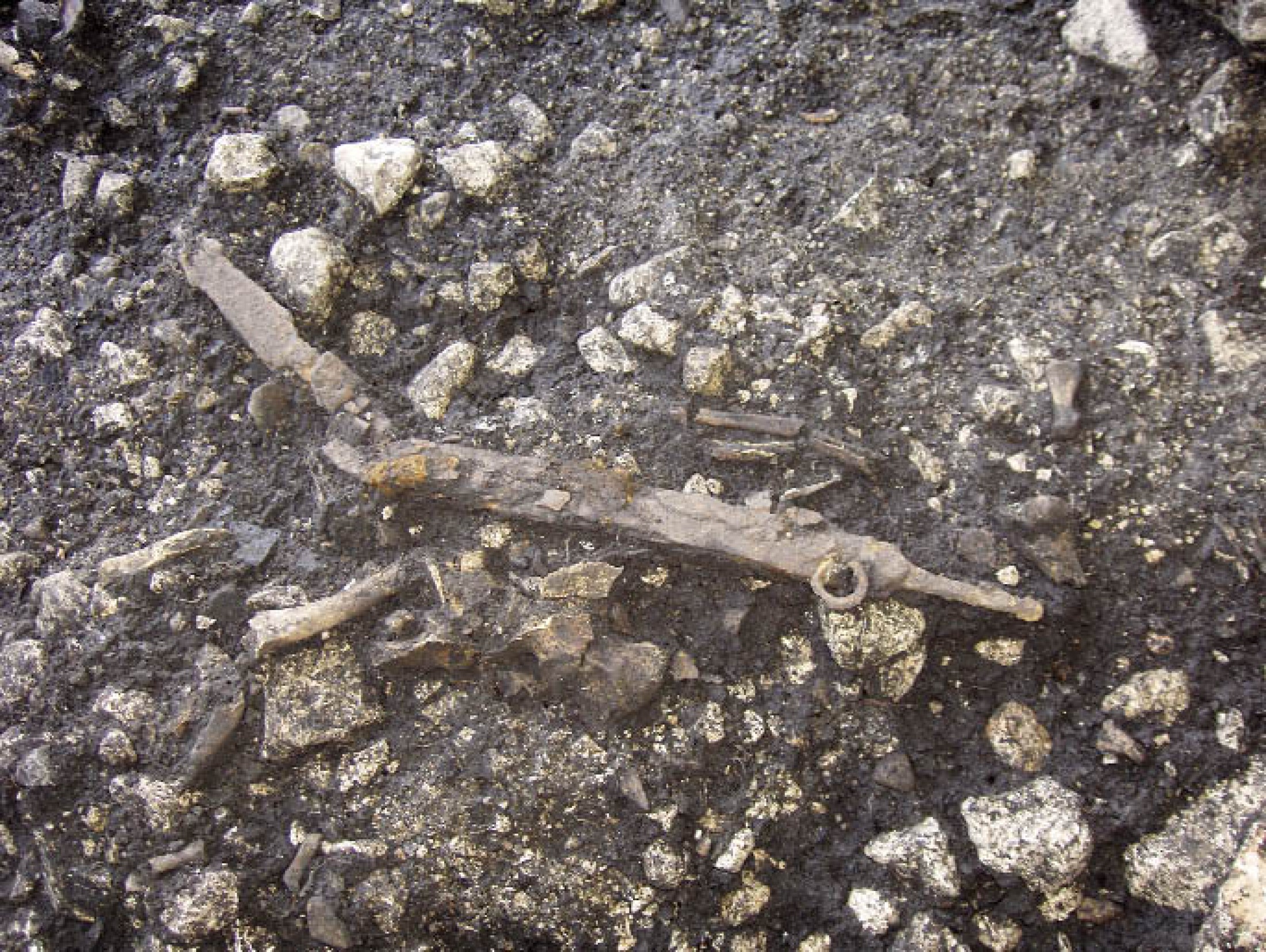 : Ein Schwertgrab aus der Stufe La Tène A („Keltenzeit“) wurde im Jahr 2006 gefunden und zählt zu den jüngsten Bestattungen im Hallstätter Gräberfeld. (Foto: PA NHM)