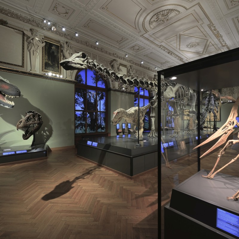 : (C) NHM-Wien/Kracher