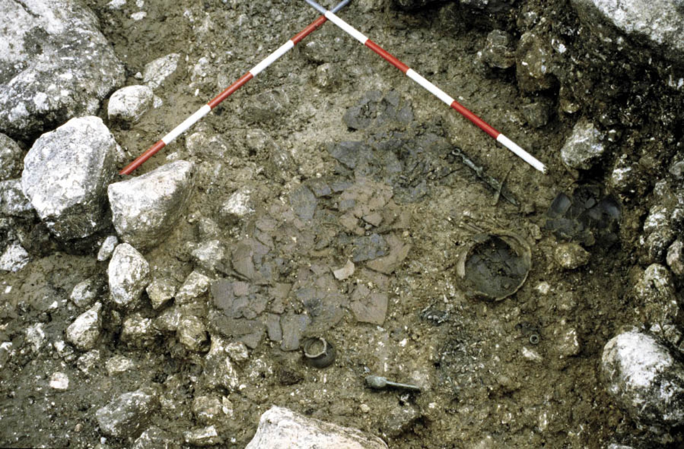 : Sehr frühes, ungestörtes Brandgrab der Hallstattkultur, um 800 v. Chr. Bei den Metallobjekten ist der spätbronzezeitliche Charakter noch erkennbar. (Foto: PA NHM Wien)