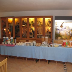 : Das Frühstücksbuffet © NHM Wien