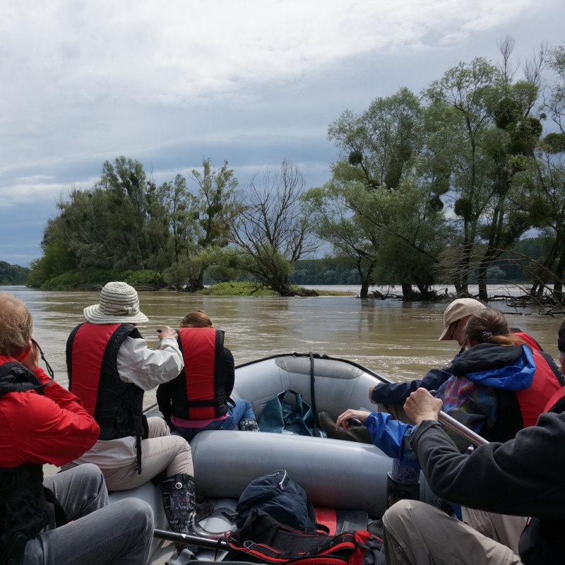 : Bootsfahrt auf einem Seitenarm der Donau © NHM Wien