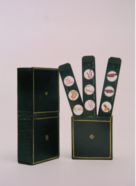 Emperor Ferdinand I., microscopic specimens of algae, around 1850