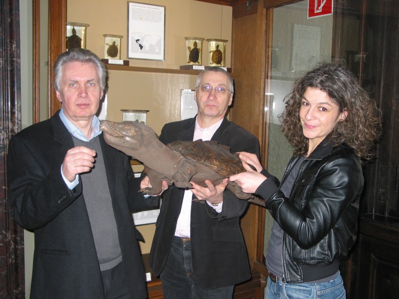 H. Grillitsch, R. Gemel, S. Schweiger in the herpetological collection.