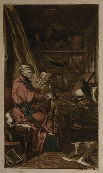 'The collector'. Engraving by Daniel Chodowiecki, 1777.